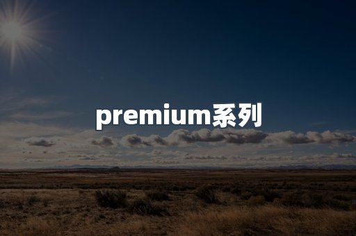 premium系列